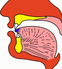 How to Pronounce the Arabic Letter Tha ث Correctly?