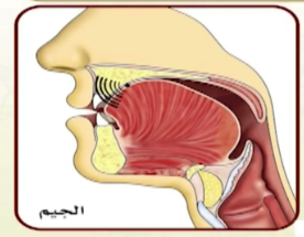 The Makhraj (Articulation Point) of Jeem