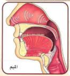 How Does the Letter Meem م Appear in the Quran?