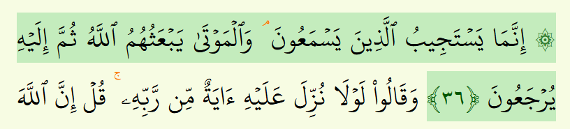 What Does the Waqf Lazim Sign (مـ) Mean?