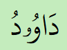 What Do Double Vowel Signs Without Shadda Indicate?