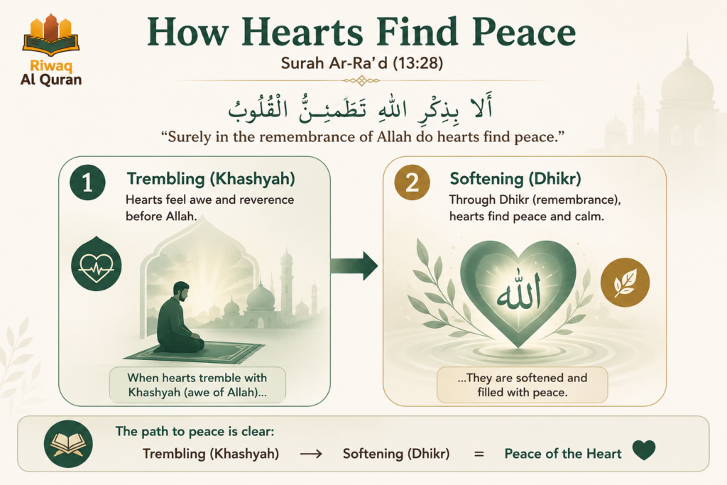 Why Do You Get Goosebumps, Cry, or Feel Scared When Listening to the Quran? 1 image 49