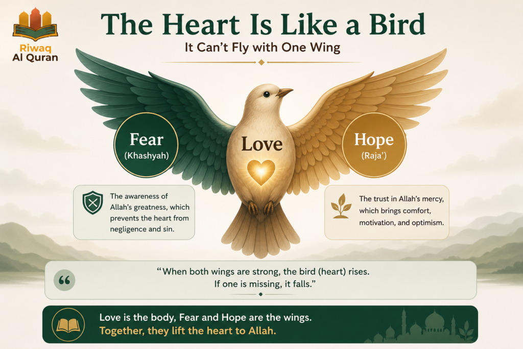 Why Do You Get Goosebumps, Cry, or Feel Scared When Listening to the Quran? 2 image 50