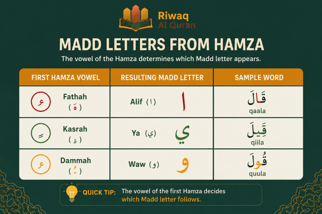What Is Madd Badal? Rules, Examples, and How to Apply It in Tajweed 1 image 58