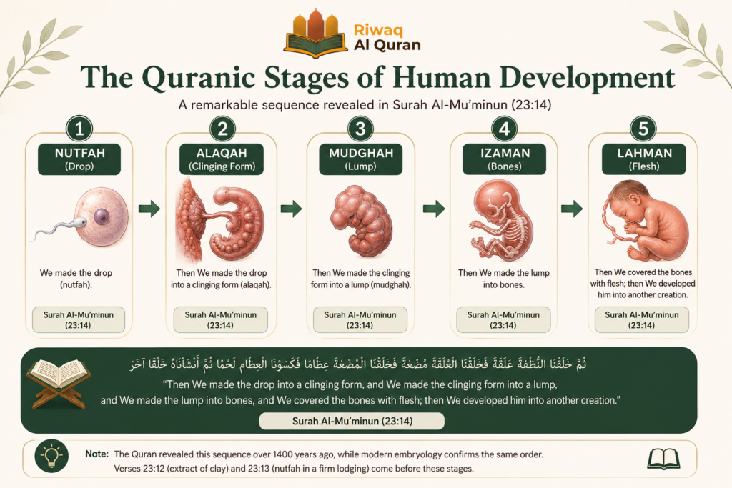 Is the Quran Scientifically Proven? 10 Scientific Facts and the Verses Behind Them 2 image 23